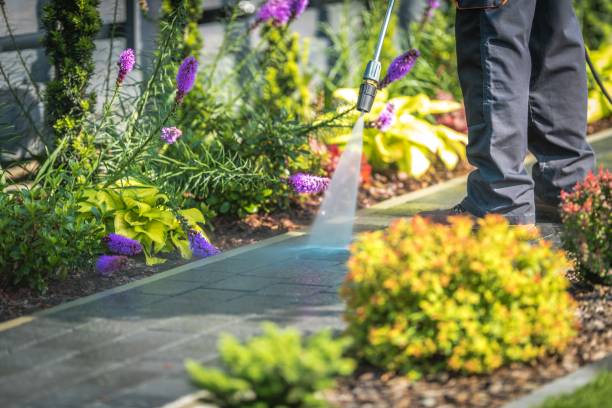 Best Driveway Pressure Washing  in Brentwood, MO